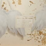 Rinkinys namams Angel Wings