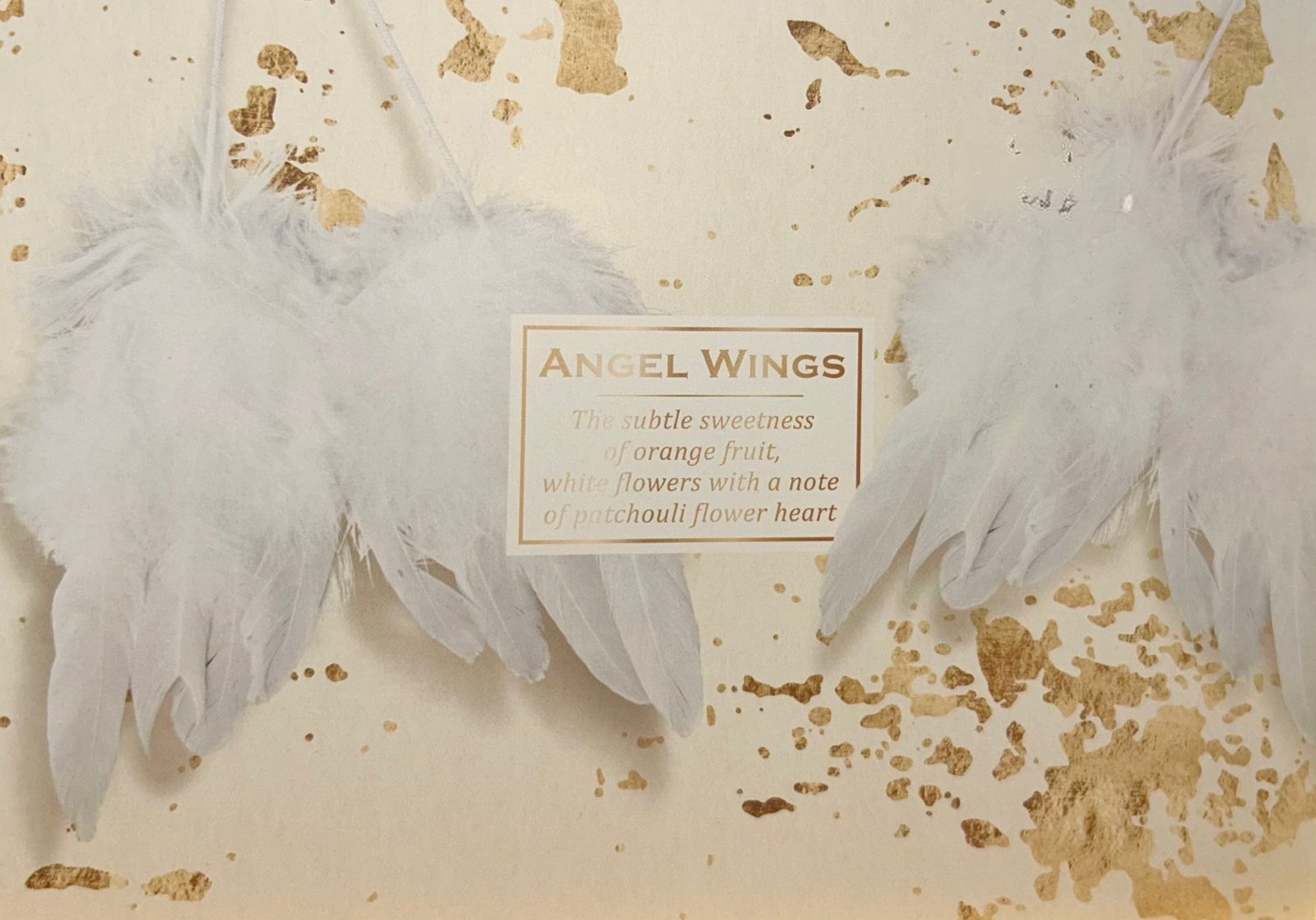 Rinkinys namams Angel Wings